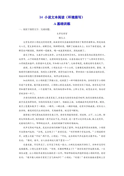 【考点解密】14  分析小说环境题型及解答技巧(训练) 高考语文二轮复习(全国通用)(原卷版)