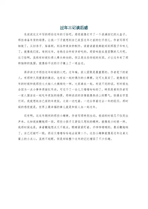 过年三记读后感