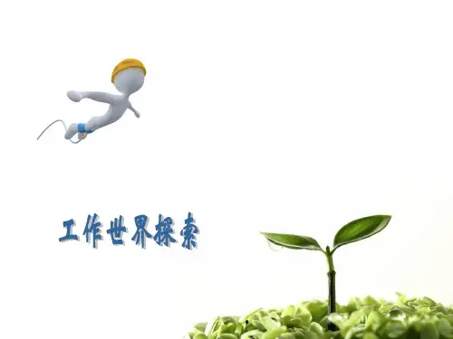 《职业生涯规划》(六)工作世界探索