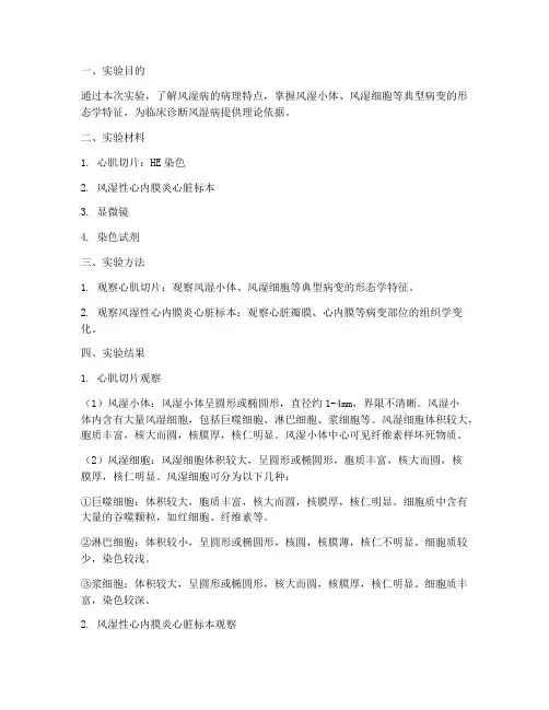 风湿病病理实验报告