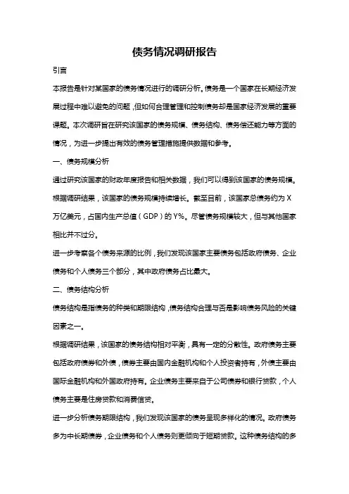 债务情况调研报告