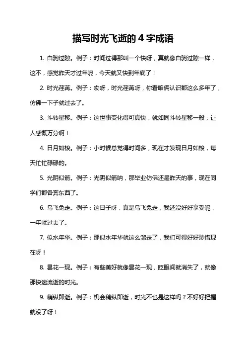 描写时光飞逝的4字成语