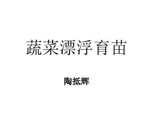 蔬菜漂浮育苗