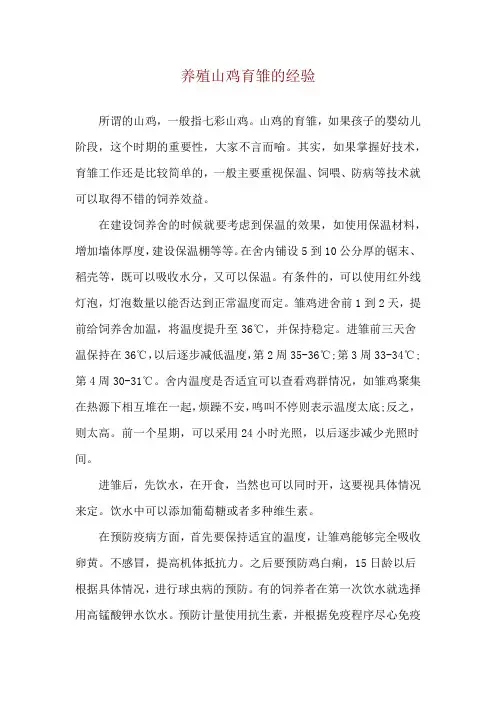 养殖山鸡育雏的经验