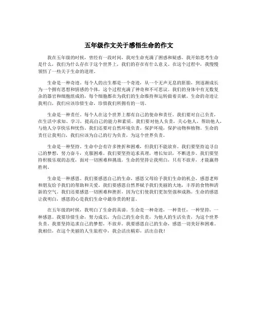 五年级作文关于感悟生命的作文