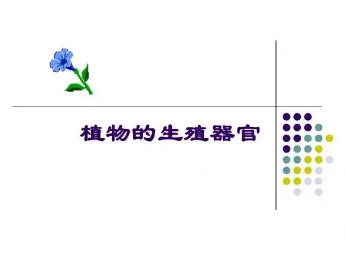 花的形态结构