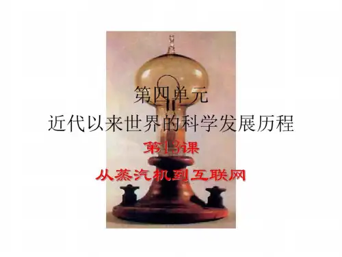 高二历史探索生命起源之谜