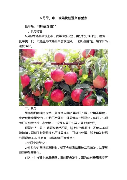 6月早、中、晚熟桃管理各有重点