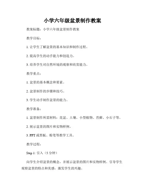 小学六年级盆景制作教案