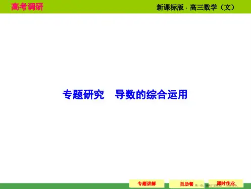 2015高考数学配套课件：专题研究 导数的综合运用