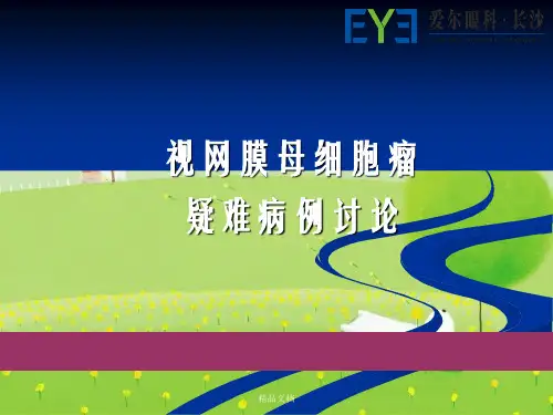 视网膜母细胞瘤幻灯片PPT