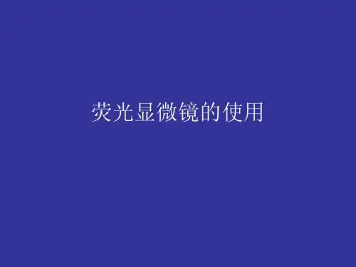 04荧光显微镜的使用