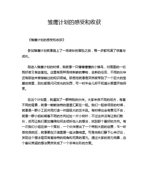 雏鹰计划的感受和收获