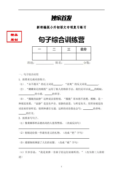 小升初语文句子综合训练专项练习 (5)
