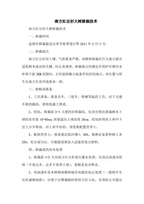 南方红豆杉大树移栽技术