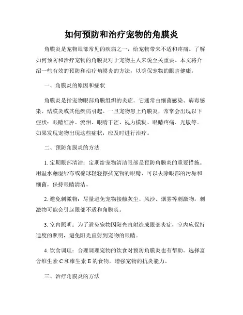 如何预防和治疗宠物的角膜炎