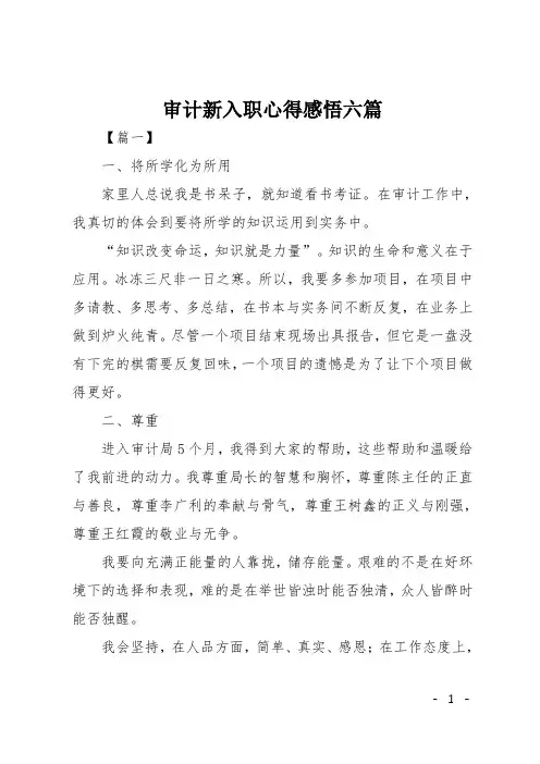 审计新入职心得感悟六篇