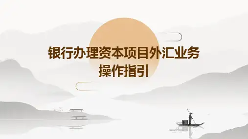 银行办理资本项目外汇业务操作指引