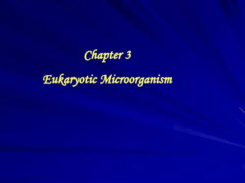 e3 微生物学-南京师范大学 英文版PowerPoint课件