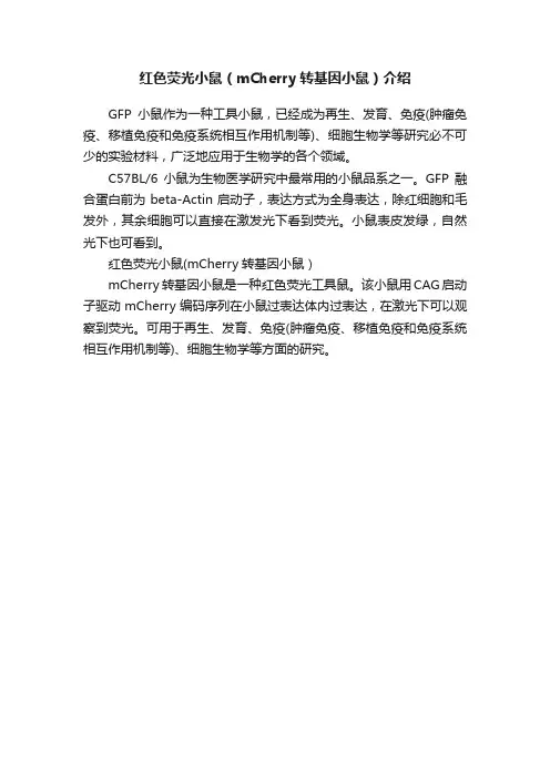 红色荧光小鼠（mCherry转基因小鼠）介绍