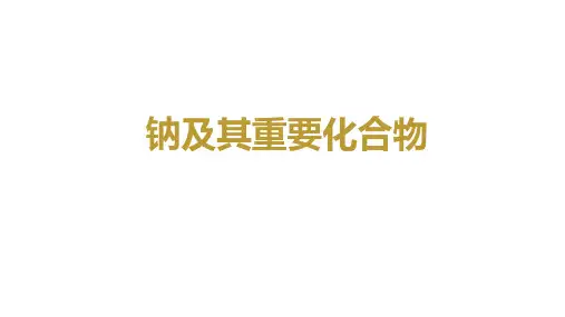 2023届新高考一轮复习 钠及其重要化合物 课件(42张)