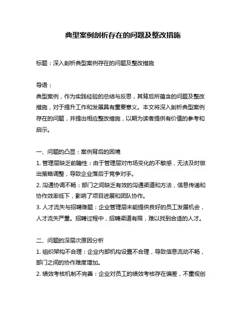 典型案例剖析存在的问题及整改措施
