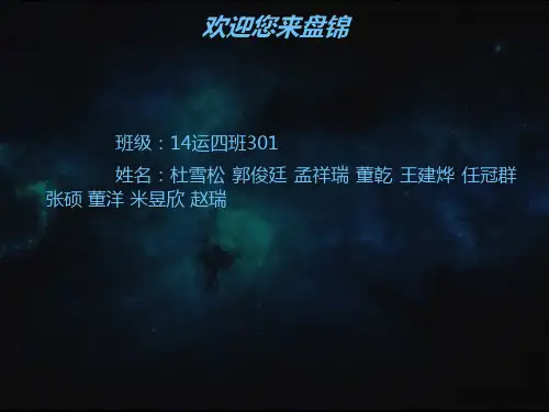 我的家乡——盘锦