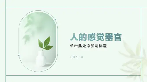 人的感觉器官