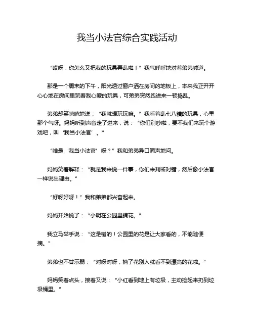 我当小法官综合实践活动