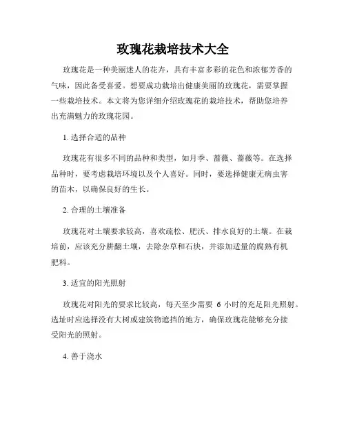玫瑰花栽培技术大全