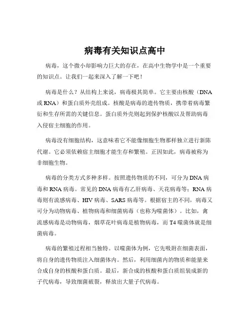 病毒有关知识点高中