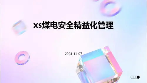 XS煤电安全精益化管理