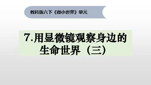 《用显微镜观察身边的生命世界(三)》小学科学六年级下册PPT课件