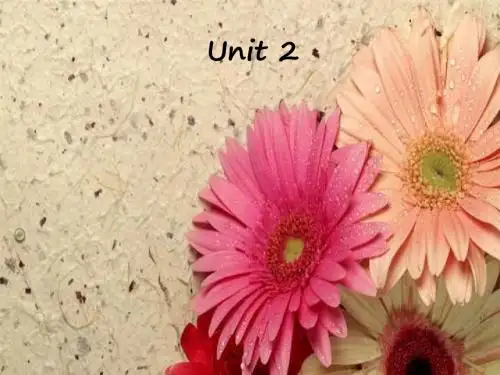 译林牛津版必修五Unit2单词学习课件(共25张PPT)