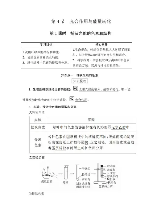 高中生物(新教材)《捕获光能的色素和结构》导学案+课后练习题