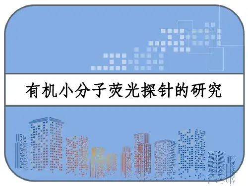有机小分子荧光探针的研究 PPT