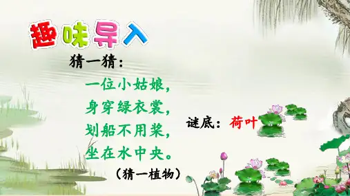 13 荷叶圆圆——一年级下册语文课件