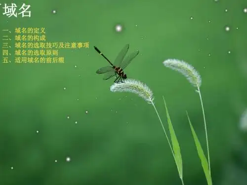 英文网站建设域名的选择