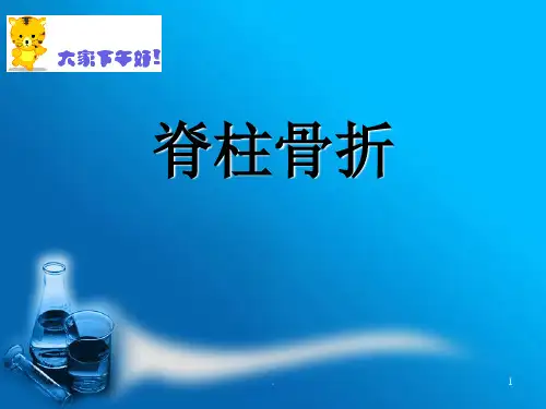 脊柱骨折ppt演示课件