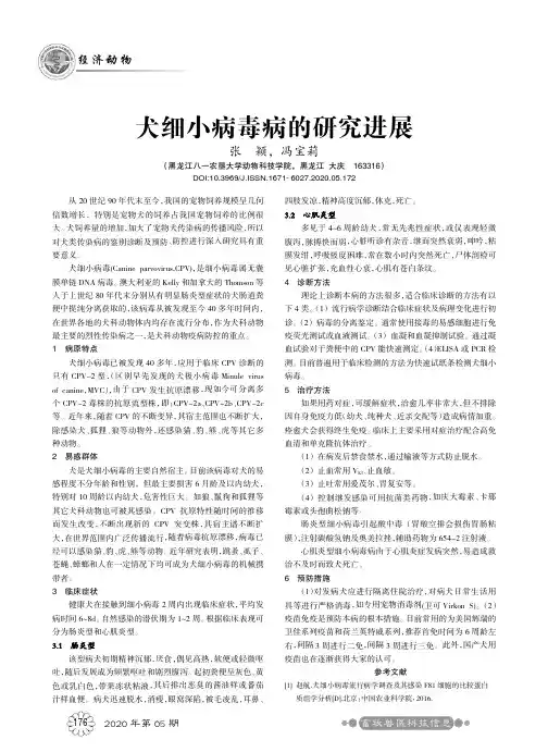 犬细小病毒病的研究进展