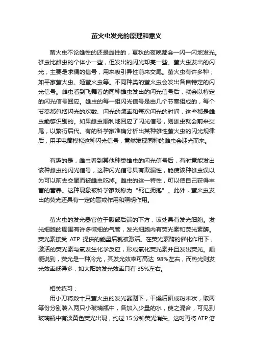萤火虫发光的原理和意义