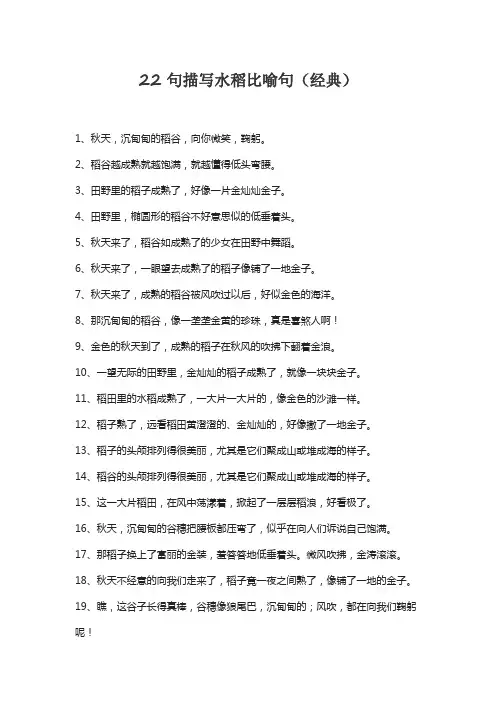 22句描写水稻比喻句(经典)