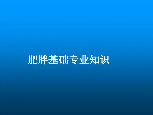 肥胖PPT课件