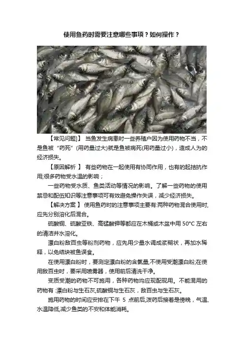 使用鱼药时需要注意哪些事项？如何操作？