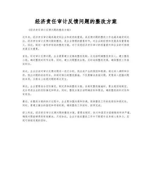 经济责任审计反馈问题的整改方案