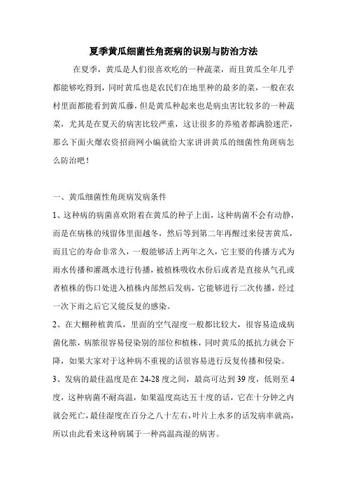 夏季黄瓜细菌性角斑病的识别与防治方法.doc