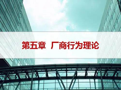 经济学原理-第05章  厂商行为理论PPT