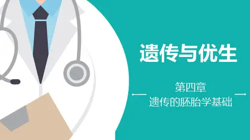 《遗传与优生》第四章