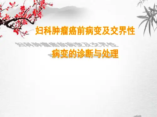 妇科肿瘤癌前病变及交界性病变的诊断