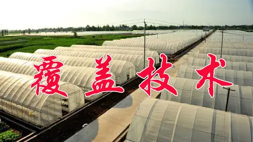 高中地理专题：农业覆盖技术